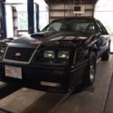 1984 Ford Mustang Hertz Predator GT302H #119