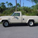 1984 JEEP J 10