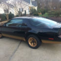 1984 Pontiac Firebird Trans Am Firebird Coupe 2-Door