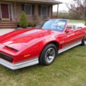1984 Pontiac Trans Am Convertible, 11,800 original mi, very nice original car