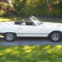 1984 sl Hardtop and convertible--Enrico Nardi autographed steering wheel