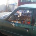 1984 Toyota Pickup Green