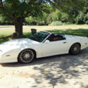 1984 Trans Am Autoform