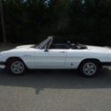 1985 Alfa Romeo Spider Veloce