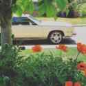 1985 Cadillac Eldorado Coupe Brown FWD Automatic