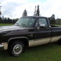 1985 Chevrolet C10 Pickup RUST FREE STRAIGHT BODY Chevy 1500