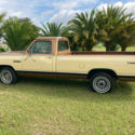 1985 Dodge D150 Pickup Brown RWD Automatic D-150 Prospector