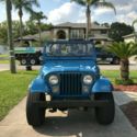 1985 Jeep CJ