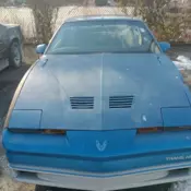 1985 Pontiac Firebird Coupe Blue TRANS AM