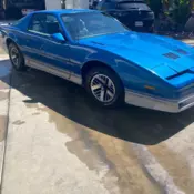 1985 Pontiac Trans Am V8 Stick Shift (custom order)