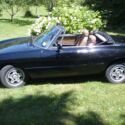 1986 ALFA ROMEO SPIDER CONVERTIBLE BLACK