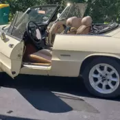 1986 alfa romeo spider graduate 2.0l