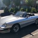 1986 Alfa Romeo Spider Pininfanina