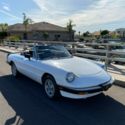 1986 Alfa Romeo Spider Veloce Plz see. all 30+ Photos in description!