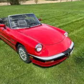 1986 Alpha Romeo Spider Quadrifoglio