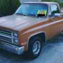 1986 Chevy C10 Shortbed - Salvaged, Theft Recovery, No accident - AS IS