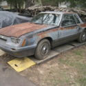 1986 Ford Mustang Notch Back 4 Cyl Auto No Reserve