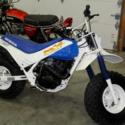 1986 Honda Tr200 Fatcat