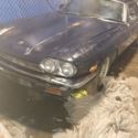 1986 Jaguar XJ-S V12 Coupe NO RESERVE