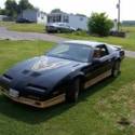 1986 Pontiac Trans Am Black and Gold in color.
