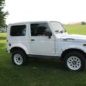 1986 tintop
