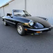 1987 Alfa Romeo Spider Convertible Black GRADUATE