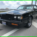 1987 Buick Grand National Turbo 3.8L V6 12V Automatic RWD / LOW MILES / Mint*