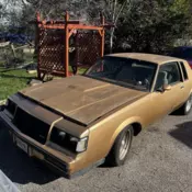 1987 Buick Regal Coupe Brown LIMITED