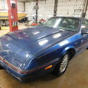 1987 Dodge Daytona Shelby  T1288724