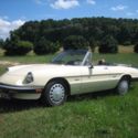 1988 alfa romeo graduate roadster