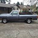 1988 Dodge D250 Base Standard Cab Pickup 2-Door 5.9L