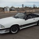 1988 Ford Mustang Saleen Convertible #499