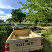 1988 Mitsubishi Mighty Max / S Pickup Brown