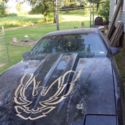 1988 pontiac trans am gta 10 year anniversary edition