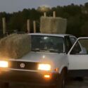 1988 Volkswagen Jetta Sedan White FWD Manual