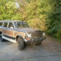 1988 Wagoneer  (NOT a Wrangler) (EBAY form is auto filled for &#034;Wrangler)