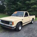 1989 Chevrolet S-10 Base 2dr Standard Cab SB Automatic 4-Speed RWD V6 4.3L