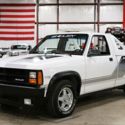 1989 Dodge Dakota  68497 Miles Bright White Pickup Truck 5.2L V8 Automatic