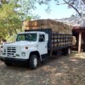 1989 International 1600 Flat Bed Stake Side