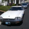1989 jaguar xjs v12