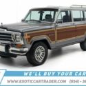 1989 Jeep Grand Wagoneer _