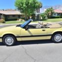 1989  Mustang LX 5.0 Convertible Tropical Yellow/Sand Beige Material. Black top