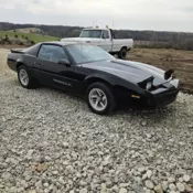 1989 Pontiac Firebird Coupe Black FORMULA