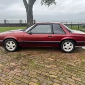 1990 25th Anniversary 5.0 Notchback All Original Stock