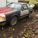 1990 FORD MUSTANG 5.0 5 SPEED NOTCHBACK - PROJECT CAR - RUST FREE - NO RESERVE!