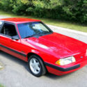 1991 FORD MUSTANG LX COUPE 5.0 &quot;NOTCHBACK&quot; - 5 SPEED MANUAL - BEAUTIFUL PAINT