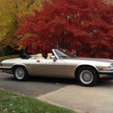 1991 jaguar xjs v12