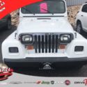 1991 Jeep Wrangler Renegade 2D Convertible  I6