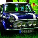 1991 Mini Classic