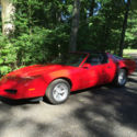 1991 Pontiac Firebird Formula 1LE with T-Tops